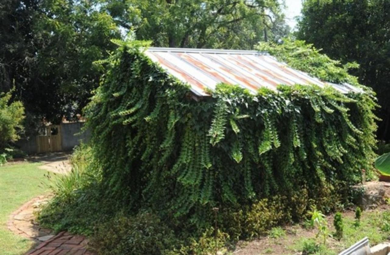 Clevedale Historic Inn And Gardens Спартанбърг Екстериор снимка
